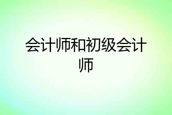 会计师和初级会计师