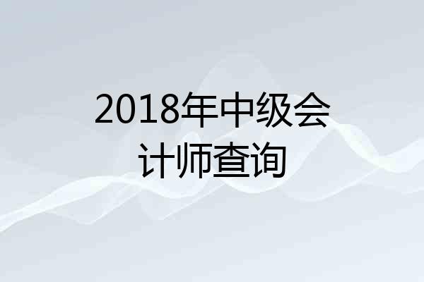 2018年中级会计师查询