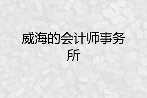 威海的会计师事务所