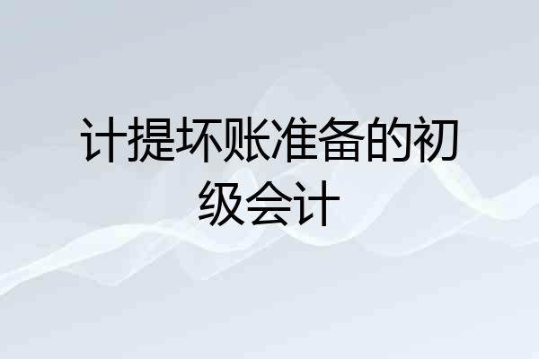 计提坏账准备的初级会计