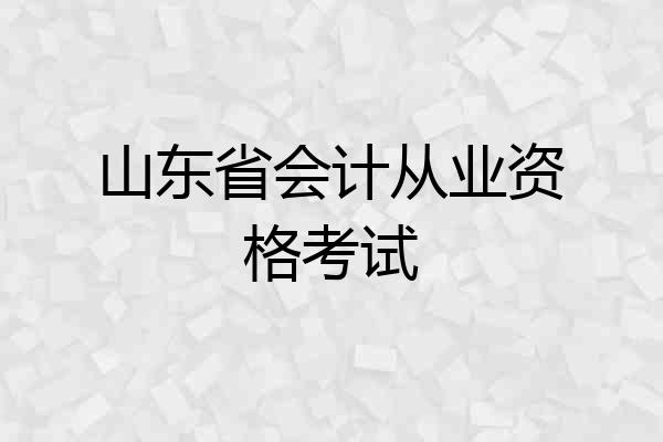 山东省会计从业资格考试