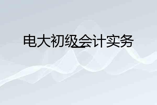 电大初级会计实务一