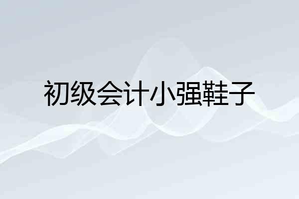 初级会计小强鞋子