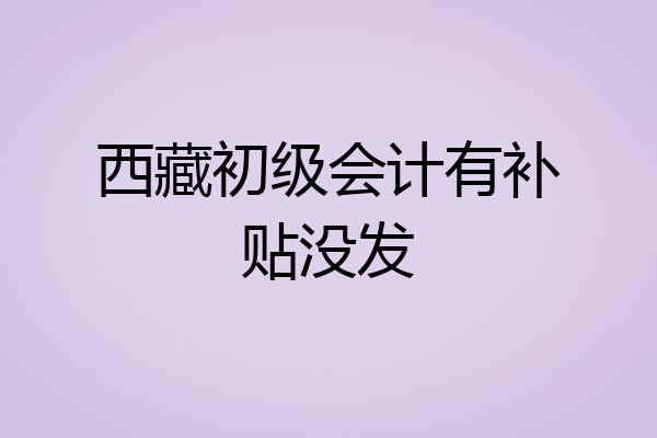 西藏初级会计有补贴没发