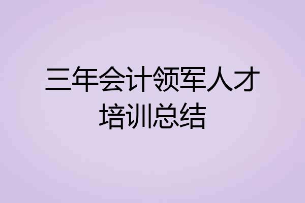三年会计领军人才培训总结