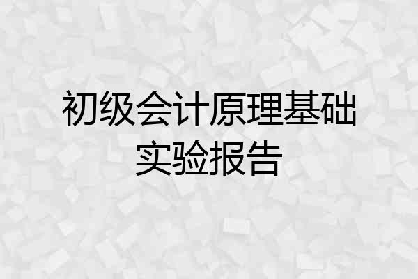 初级会计原理基础实验报告
