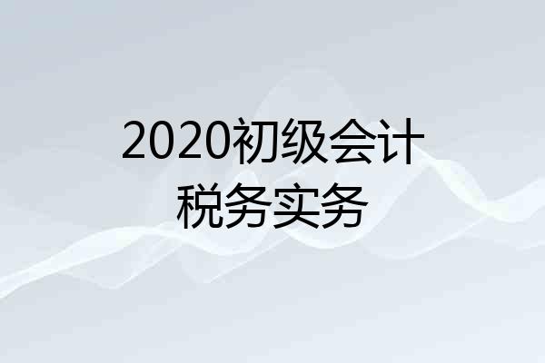 2020初级会计税务实务