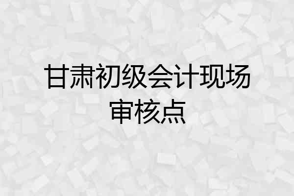 甘肃初级会计现场审核点