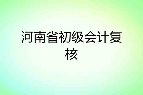 河南省初级会计复核