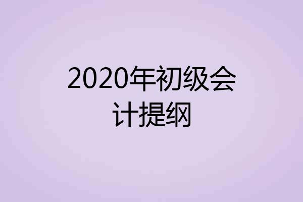 2020年初级会计提纲