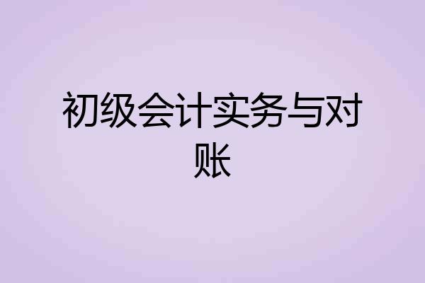 初级会计实务与对账