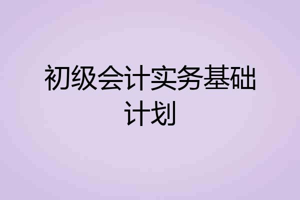 初级会计实务基础计划