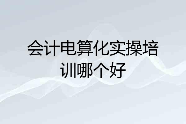 会计电算化实操培训哪个好
