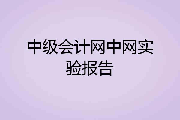 中级会计网中网实验报告