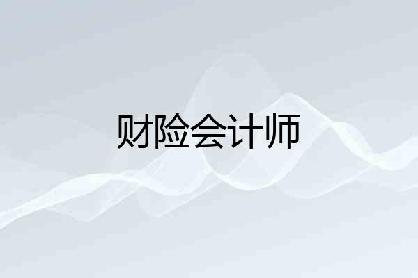 财险会计师