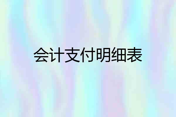 会计支付明细表