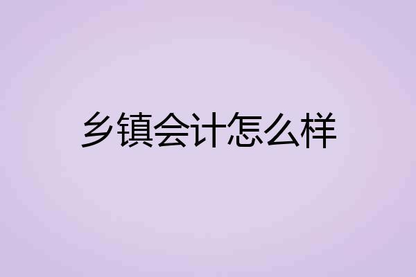 乡镇会计怎么样