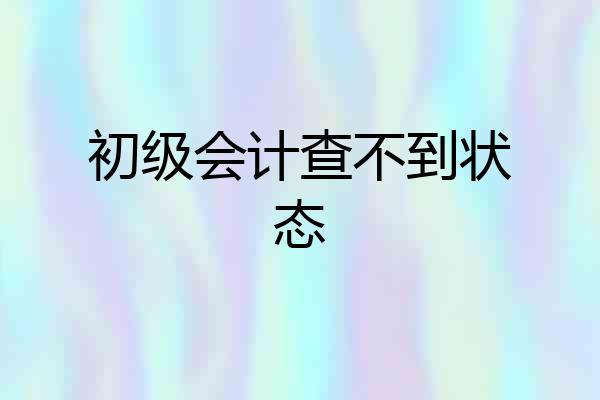 初级会计查不到状态