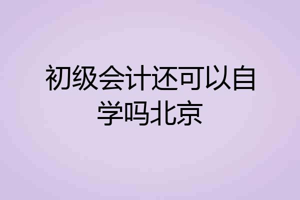 初级会计还可以自学吗北京