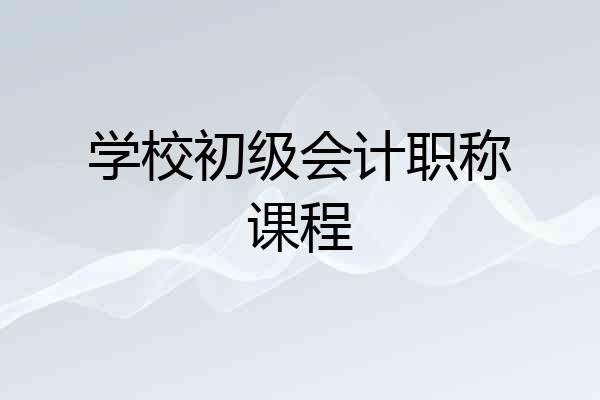 学校初级会计职称课程