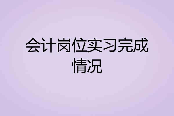 会计岗位实习完成情况