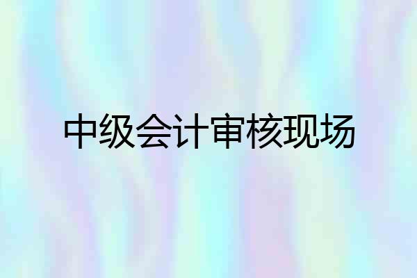 中级会计审核现场