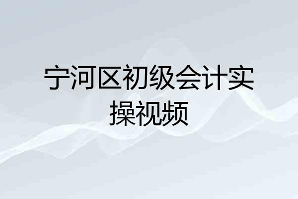 宁河区初级会计实操视频