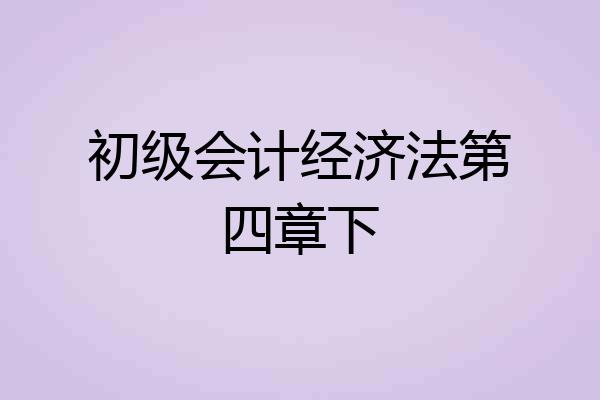 初级会计经济法第四章下