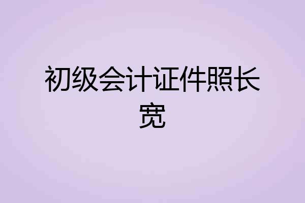 初级会计证件照长宽