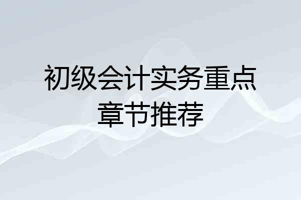 初级会计实务重点章节推荐
