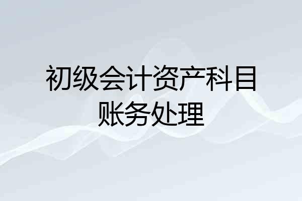 初级会计资产科目账务处理
