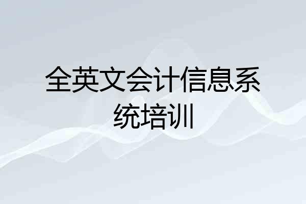 全英文会计信息系统培训