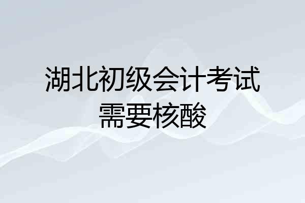 湖北初级会计考试需要核酸