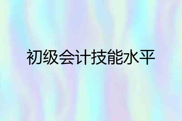 初级会计技能水平