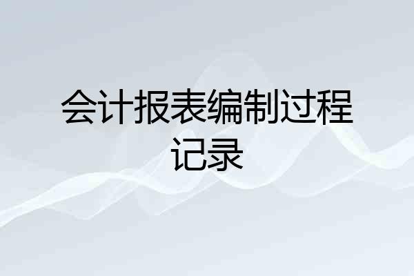 会计报表编制过程记录
