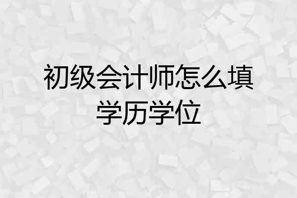 初级会计师怎么填学历学位