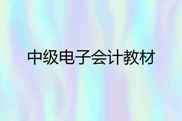 中级电子会计教材