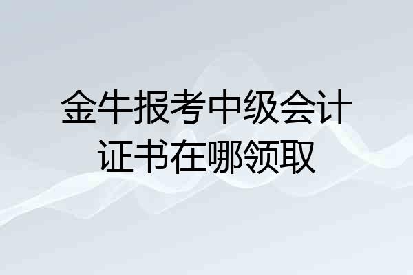 金牛报考中级会计证书在哪领取