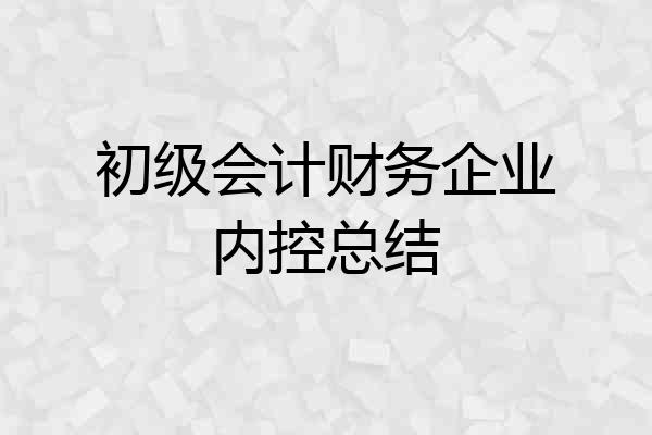 初级会计财务企业内控总结