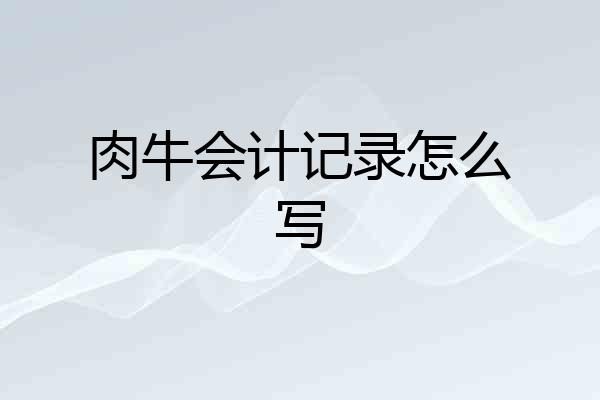 肉牛会计记录怎么写