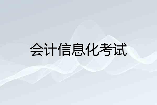 会计信息化考试