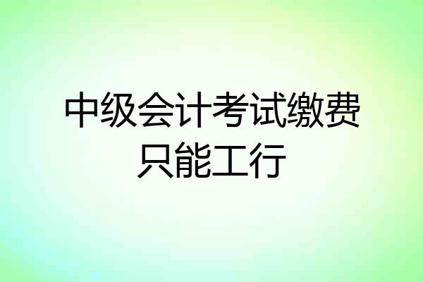 中级会计考试缴费只能工行