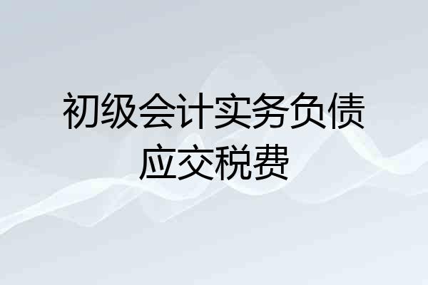 初级会计实务负债应交税费