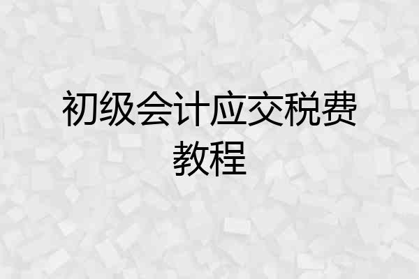 初级会计应交税费教程