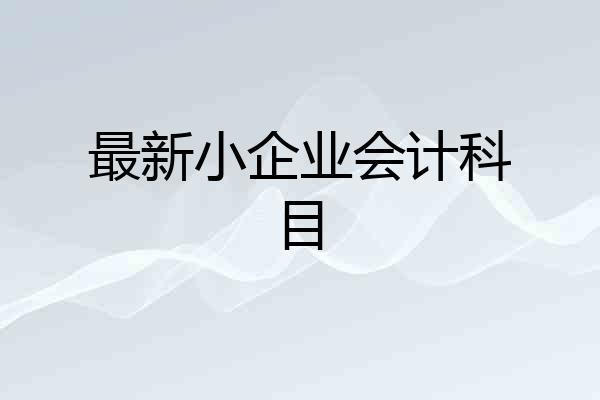 最新小企业会计科目