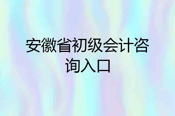 安徽省初级会计咨询入口