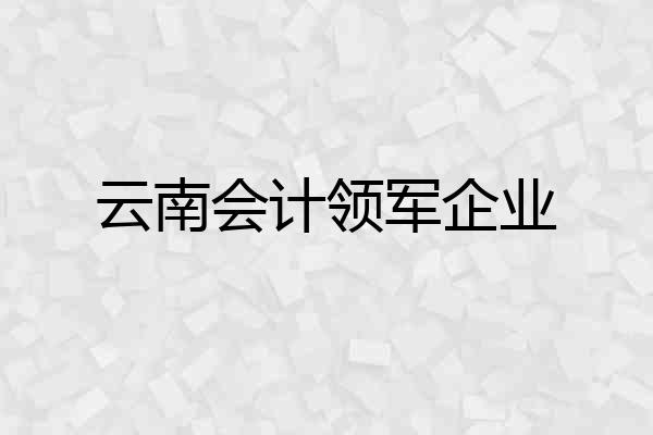 云南会计领军企业