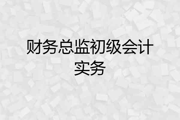 财务总监初级会计实务
