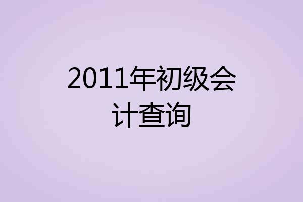 2011年初级会计查询