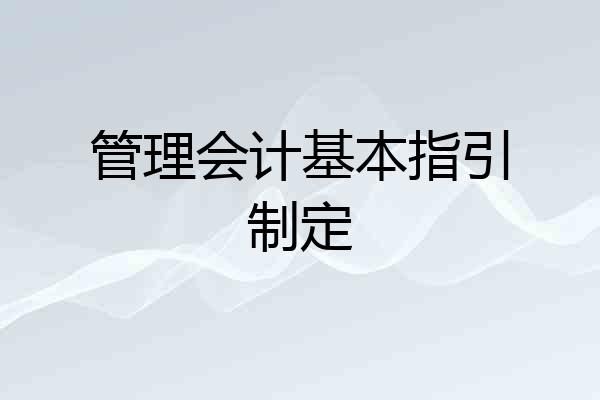 管理会计基本指引制定